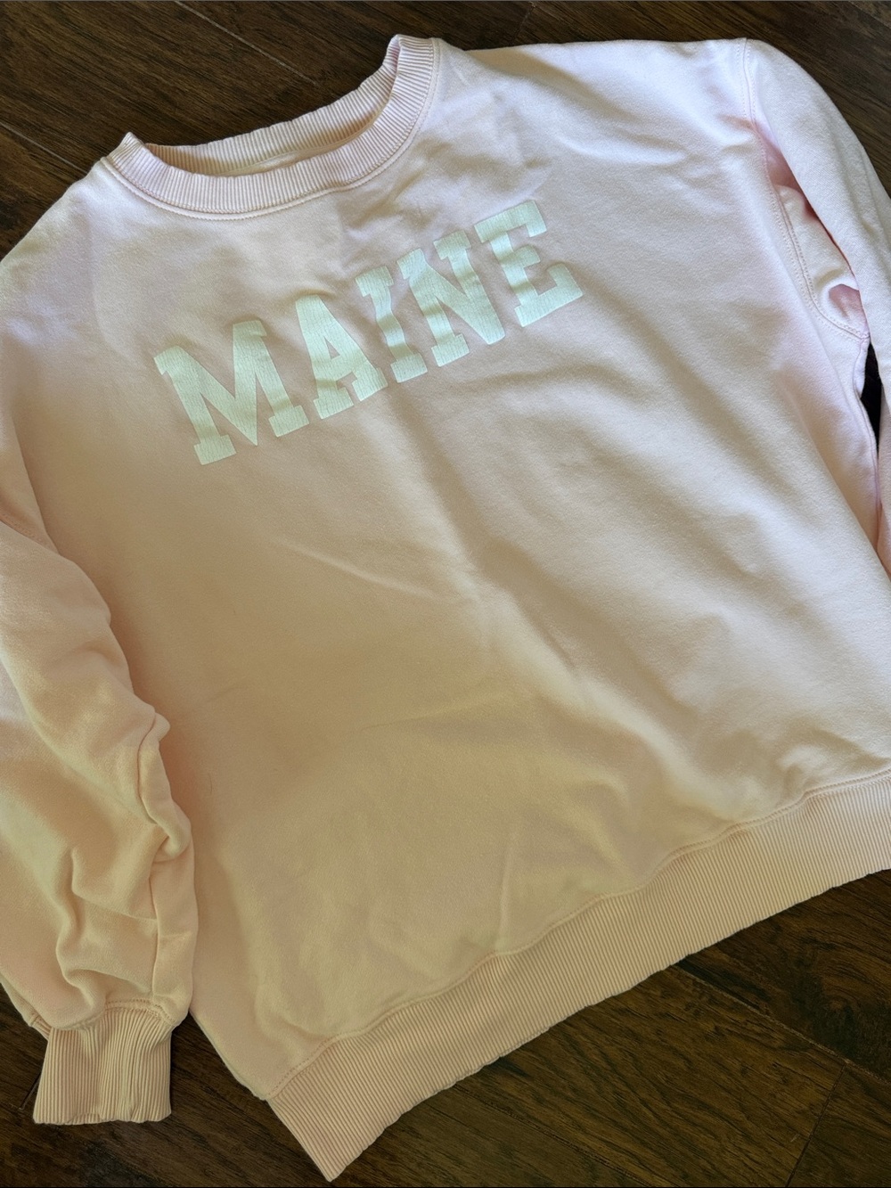 American Eagle Outfitters Crewneck Sweatshirt